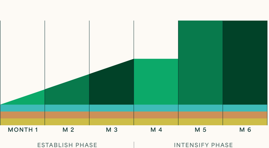 Cowden Support Program ( CSP+) Phases