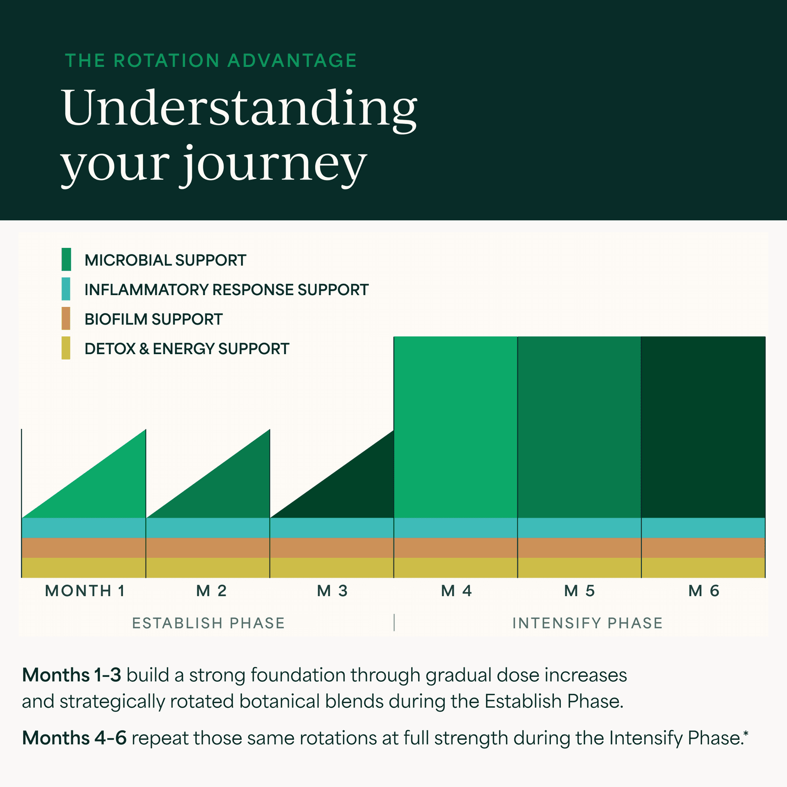 Cowden+ Support Program Month 2