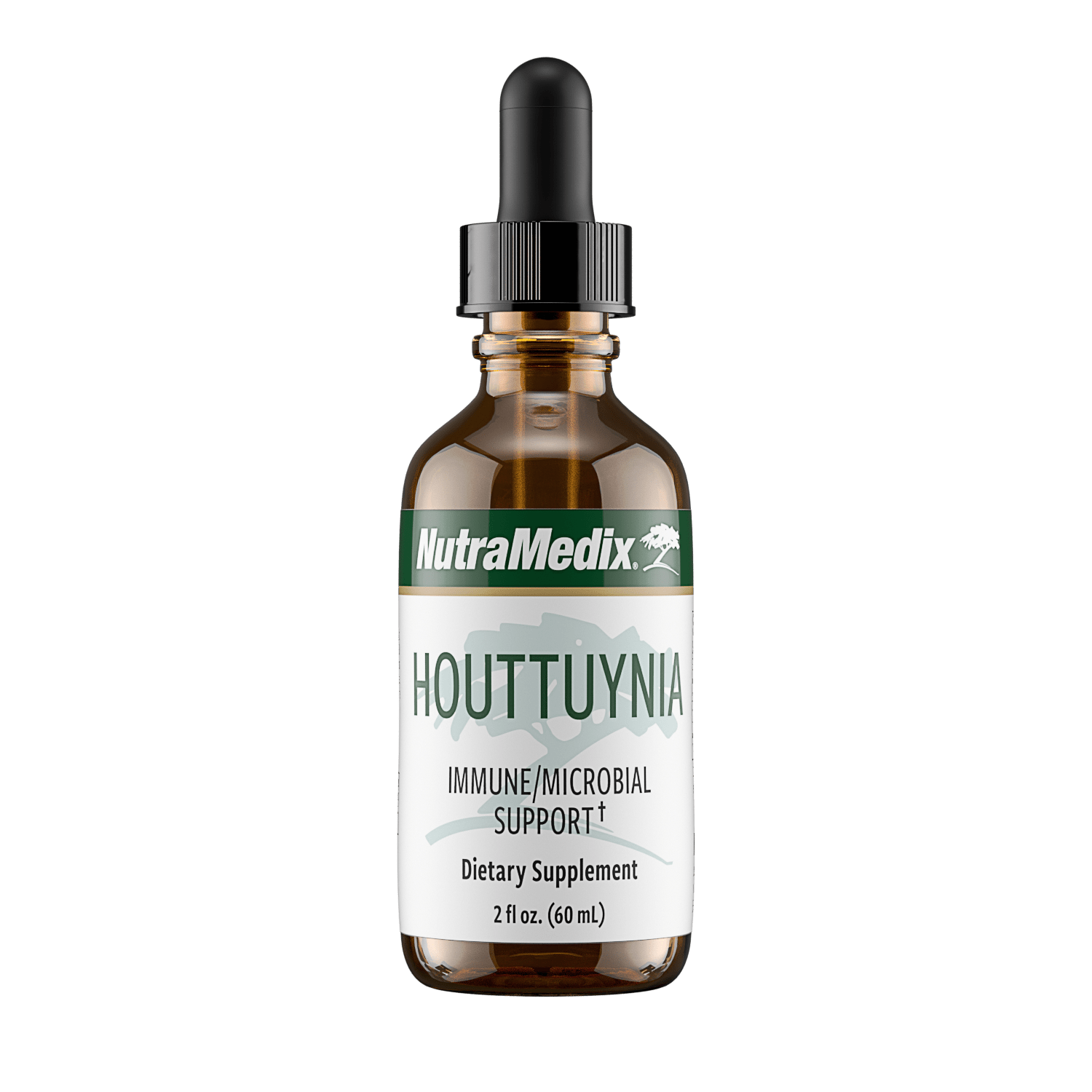 Houttuynia