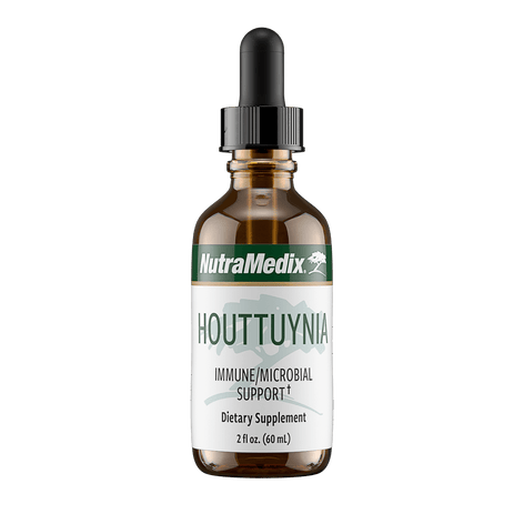 Houttuynia