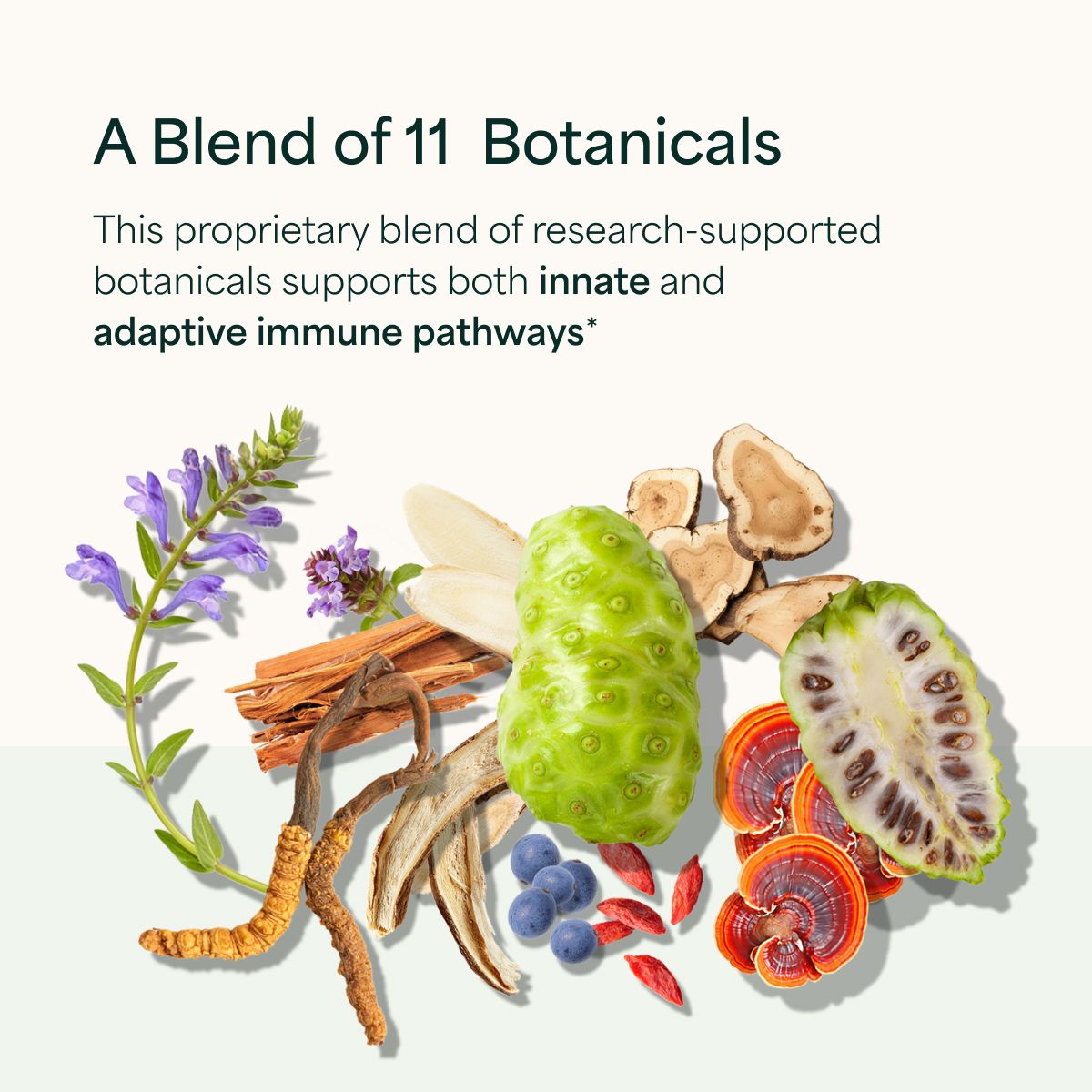 ImmuneMedix™ - 4oz