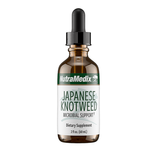 Japanese Knotweed HS Testing