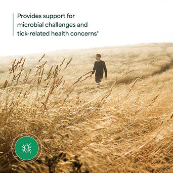 Japanese Knotweed - 2oz