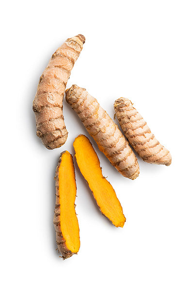 Turmeric Root
