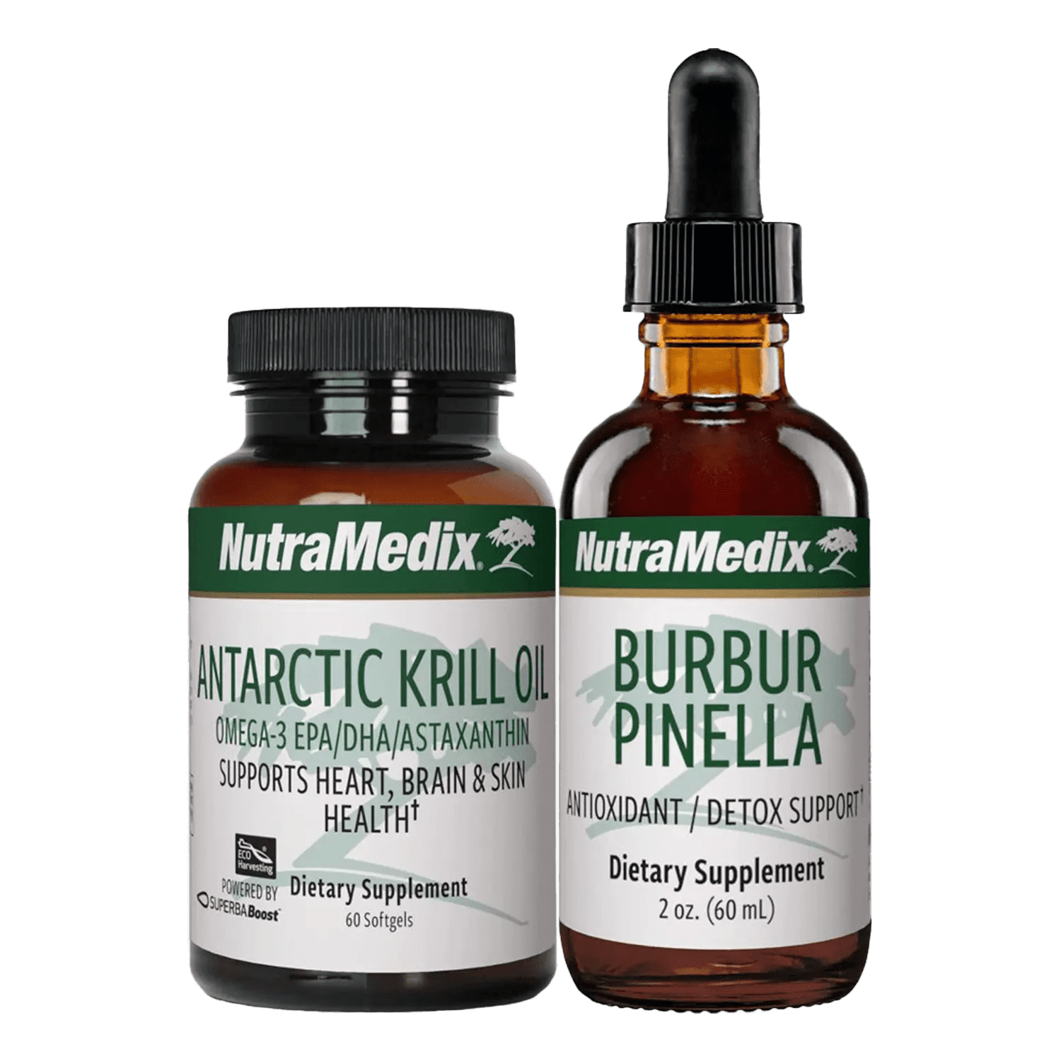 Brain Health Support Kit